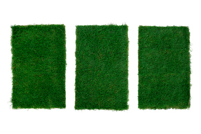 Muschi conservati plati 130g cu acoperire 0.3mp verde smarald RR2