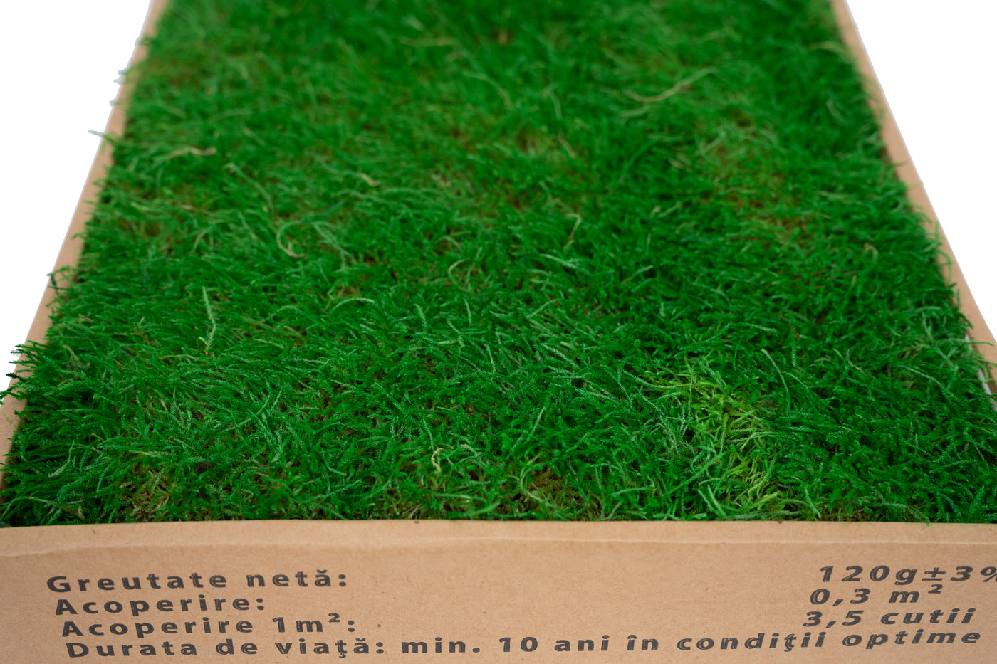 Muschi conservati plati 130g cu acoperire 0.3mp verde smarald RR2