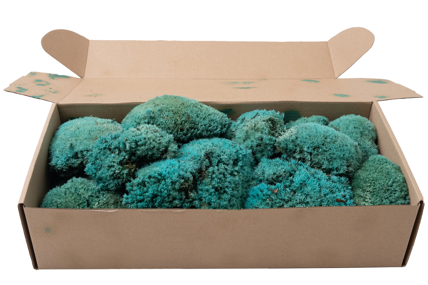 Muschi stabilizati 300 g albastru. forma bombata. acopera 0.1 mp