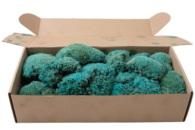 Muschi stabilizati 300 g albastru. forma bombata. acopera 0.1 mp