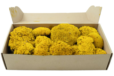 Muschi stabilizati 300 g galben. forma bombata. acopera 0.1 mp