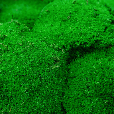 Muschi stabilizati 300 g verde inchis. forma bombata. acopera 0.1 mp