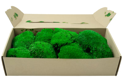 Muschi stabilizati 300 g verde inchis. forma bombata. acopera 0.1 mp