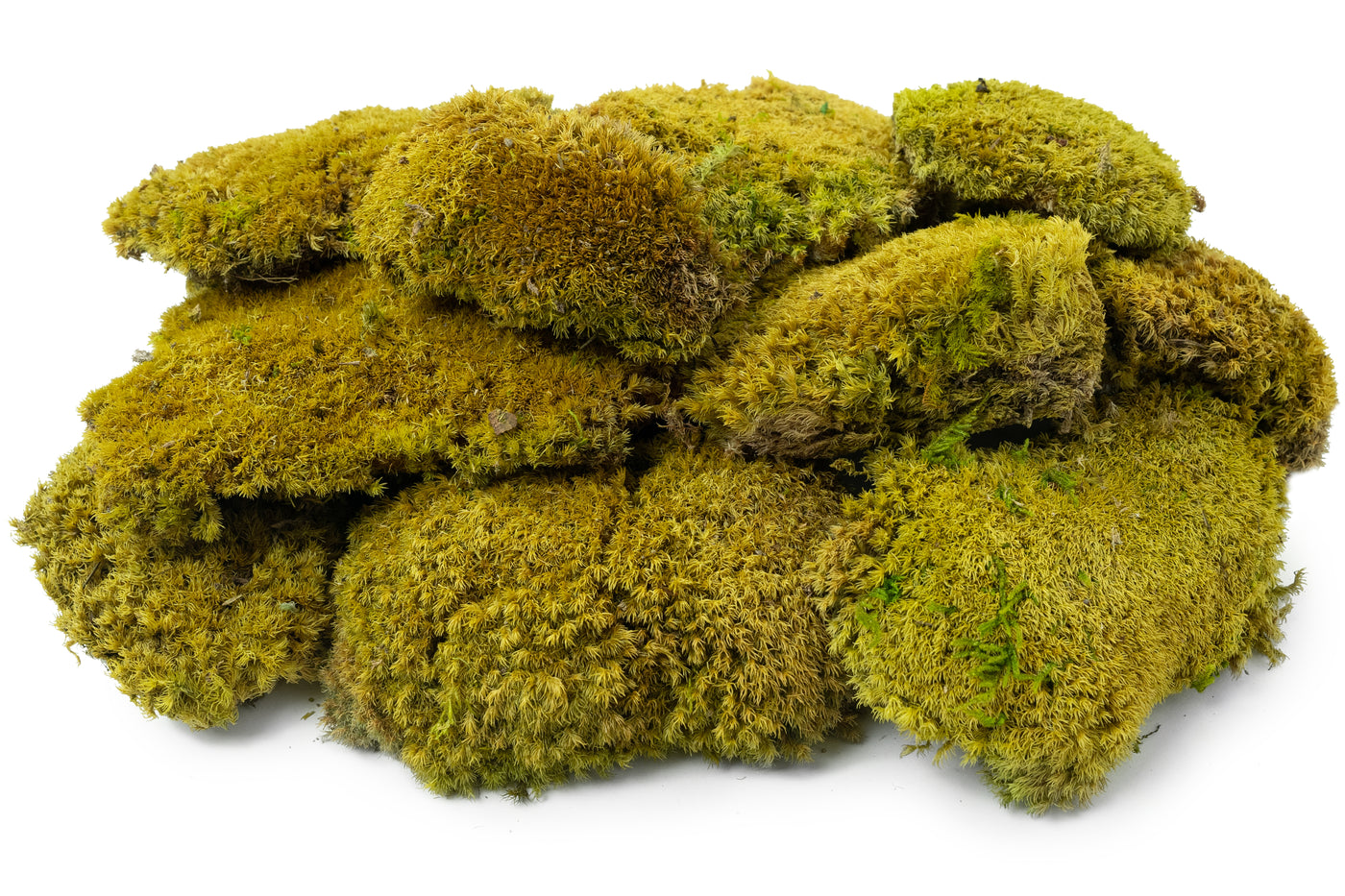 Muschi stabilizati forma bombata verde primavara. acopera 0.2 mp