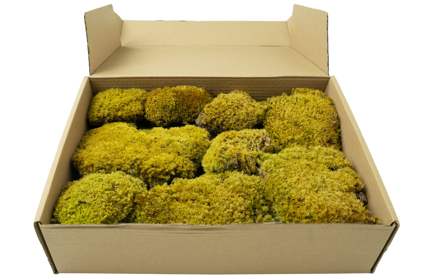 Muschi stabilizati forma bombata verde primavara. acopera 0.2 mp