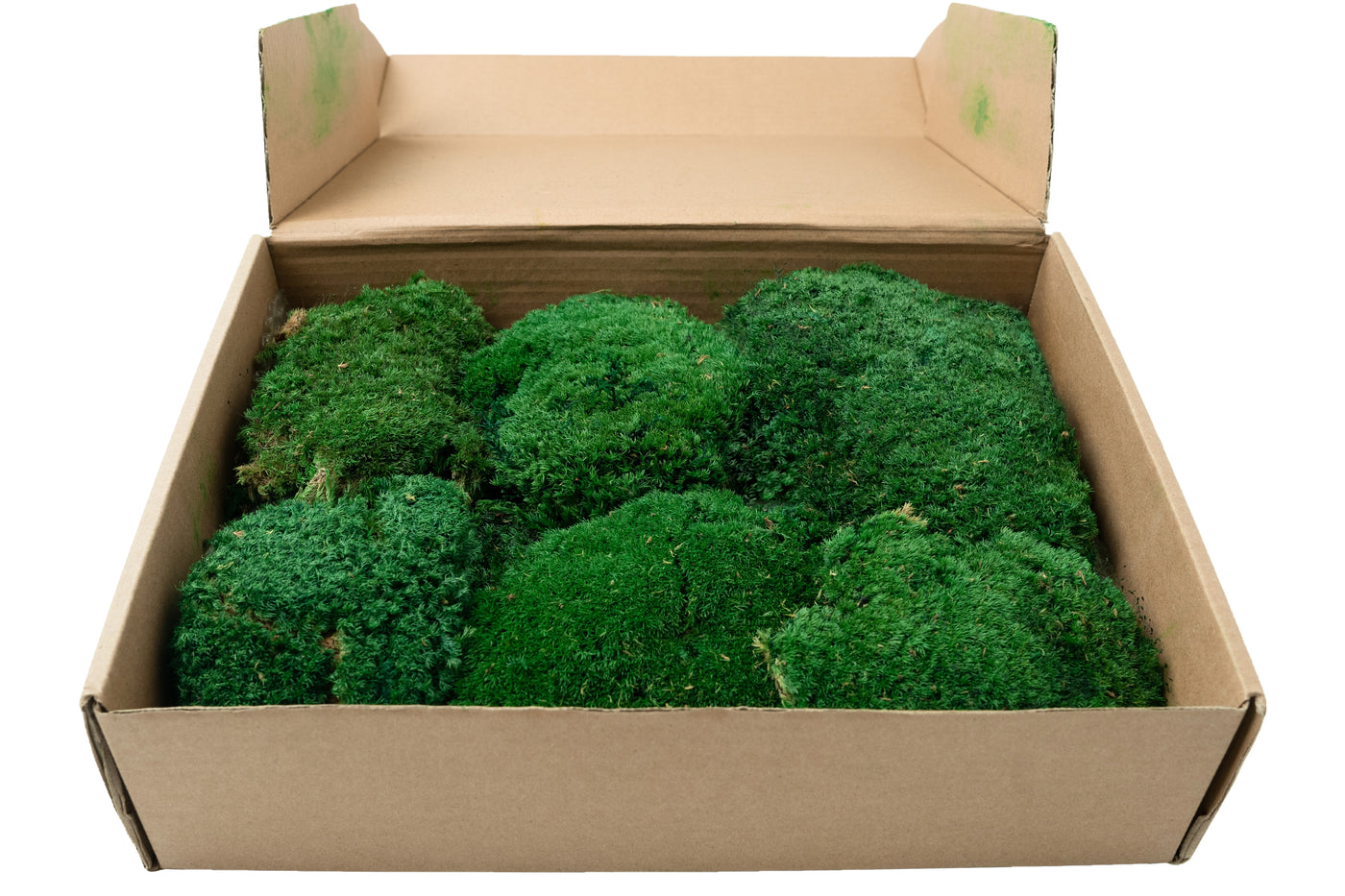 Muschi stabilizati forma bombata verde smarald. acopera 0.2 mp