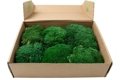 Muschi stabilizati forma bombata verde smarald. acopera 0.2 mp