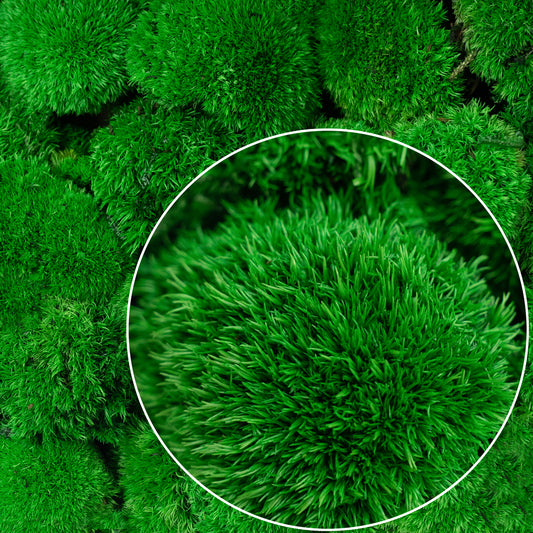 Muschi stabilizati mini 400 g verde inchis. forma bombata. acopera 0.125 mp