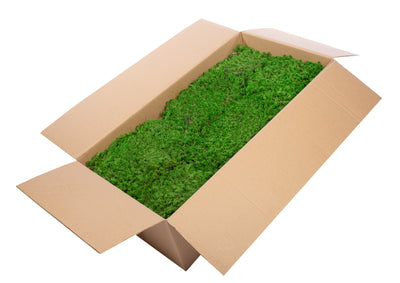 Muschi stabilizati Sphagnum 2 kg verde inchis. forma plata. acopera 1.6 mp