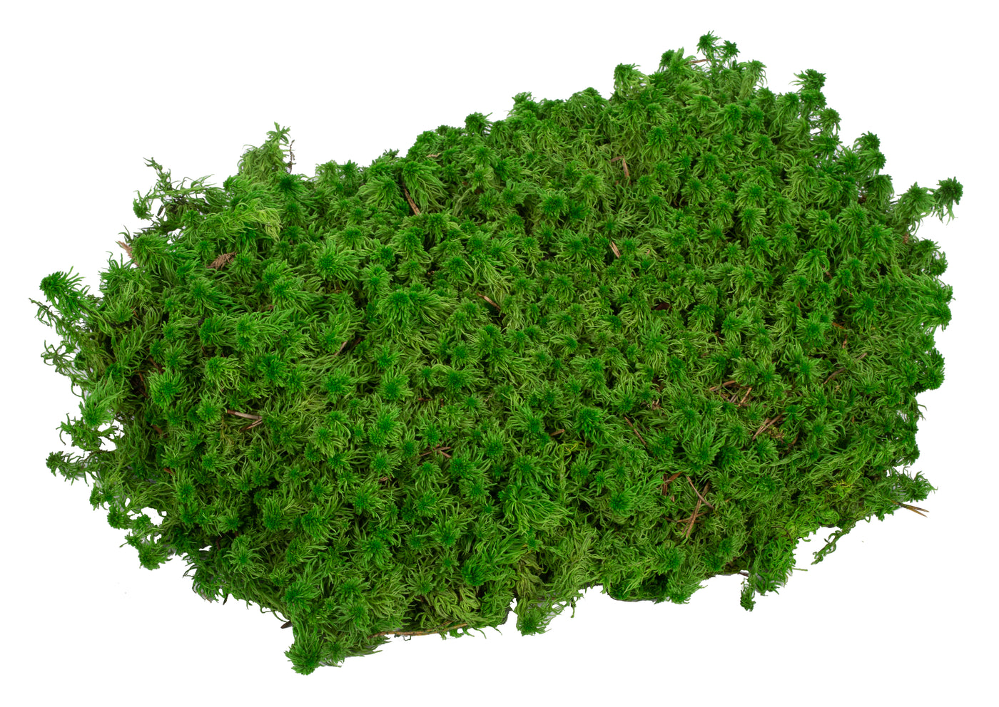 Muschi stabilizati Sphagnum 2 kg verde inchis. forma plata. acopera 1.6 mp