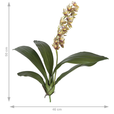 Ofhidee artificiala Cymbidium H50 cm