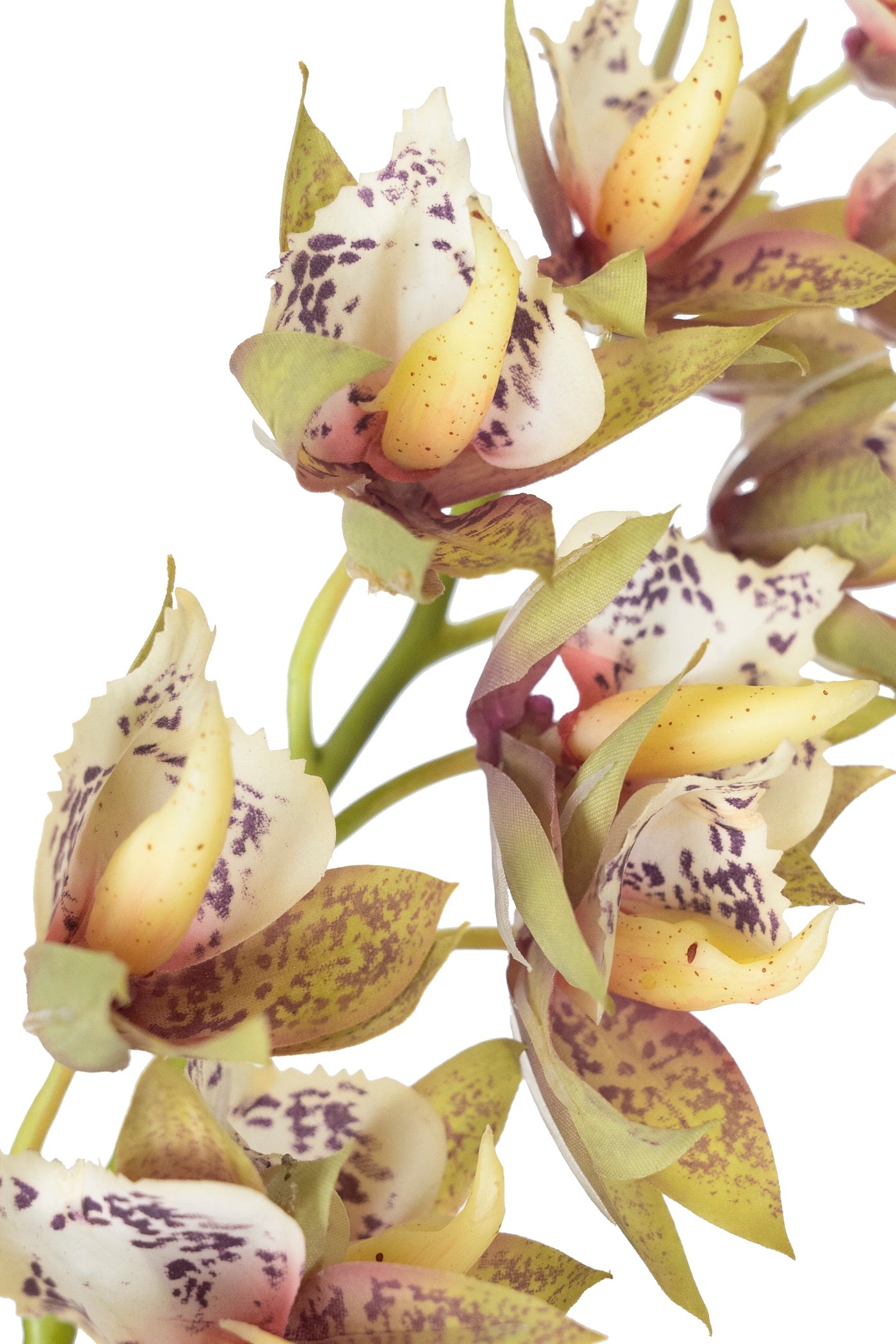 Ofhidee artificiala Cymbidium H50 cm