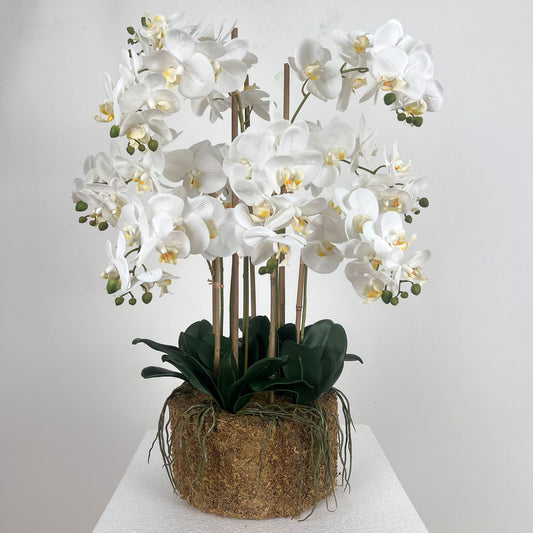 Orhidee artificiala alb cu aspect natural H85 cm cu 9 tulpini