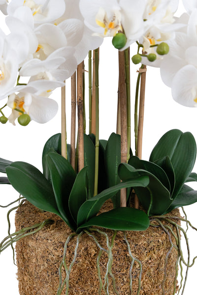 Orhidee artificiala alb cu aspect natural H85 cm cu 9 tulpini