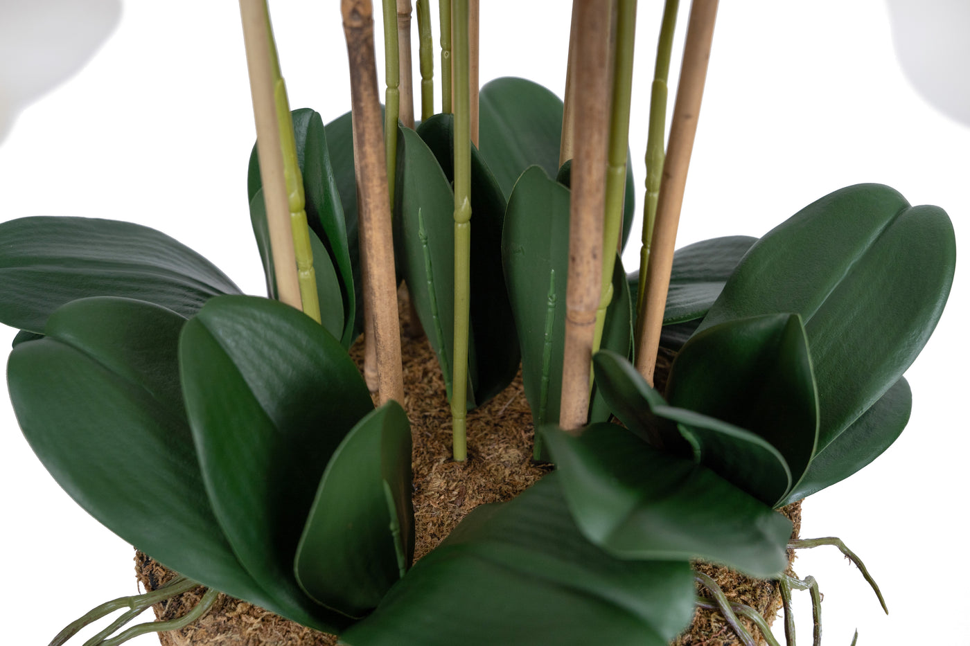 Orhidee artificiala alb cu aspect natural H85 cm cu 9 tulpini