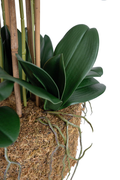 Orhidee artificiala alb cu aspect natural H85 cm cu 9 tulpini