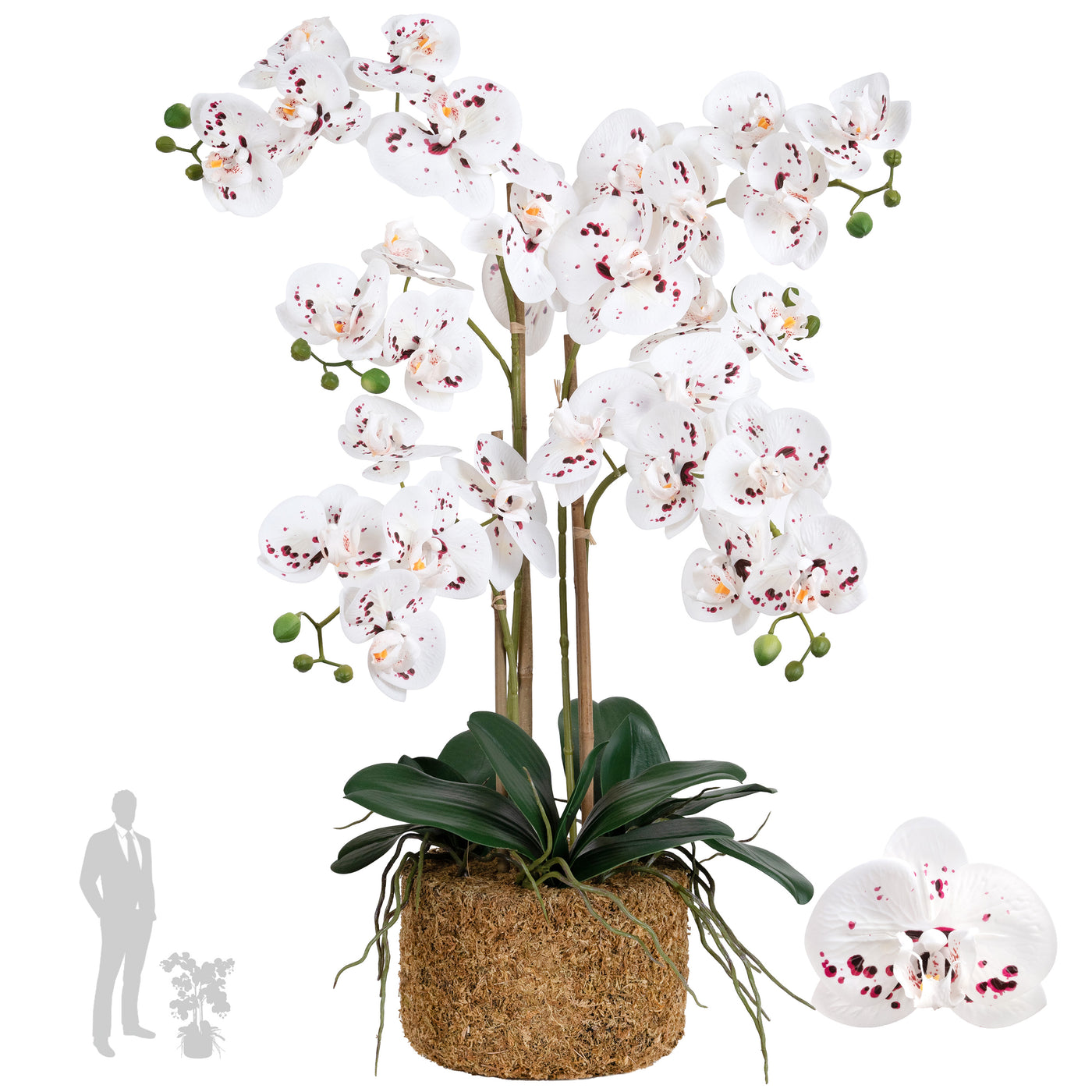 Orhidee artificiala alb cu grena cu aspect natural H66 cm cu 4 tulpini