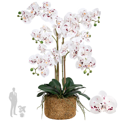 Orhidee artificiala alb cu grena cu aspect natural H66 cm cu 4 tulpini