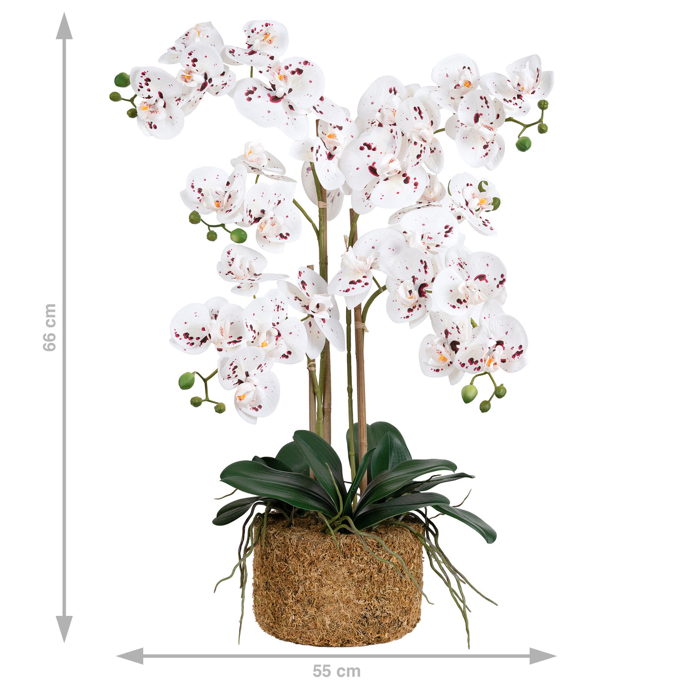 Orhidee artificiala alb cu grena cu aspect natural H66 cm cu 4 tulpini