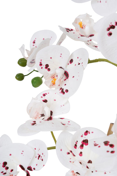 Orhidee artificiala alb cu grena cu aspect natural H66 cm cu 4 tulpini