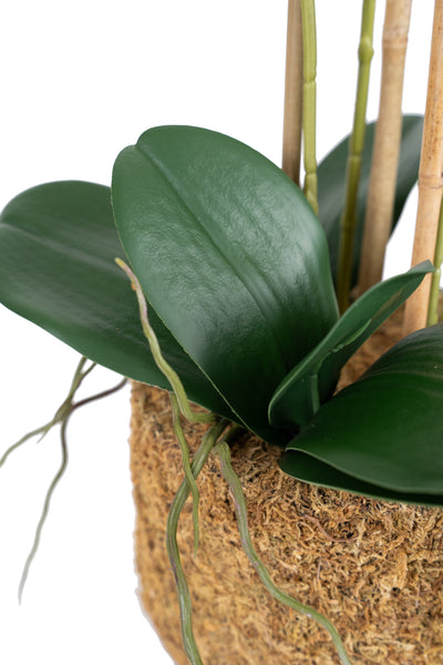 Orhidee artificiala alb cu grena cu aspect natural H66 cm cu 4 tulpini