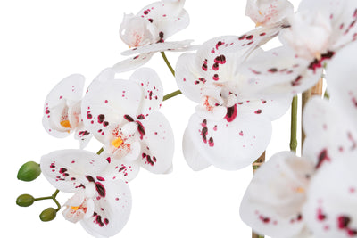 Orhidee artificiala alb cu grena cu aspect natural H66 cm cu 4 tulpini