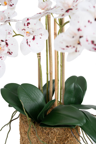 Orhidee artificiala alb cu grena cu aspect natural H66 cm cu 4 tulpini
