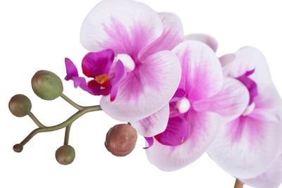 Orhidee artificiala alb cu mov cu aspect natural H71 cm cu 9 tulpini