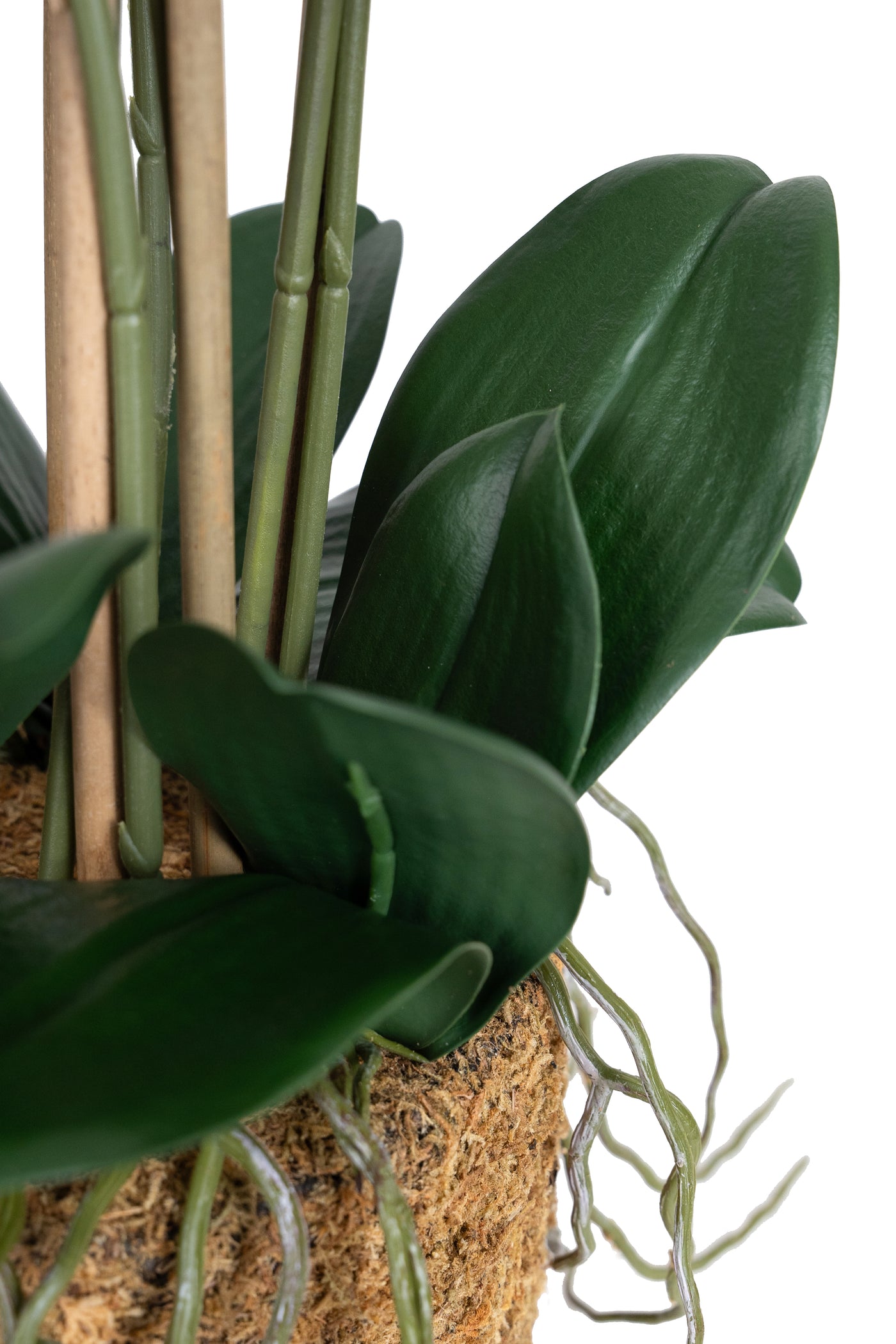 Orhidee artificiala alb cu mov cu aspect natural H71 cm cu 9 tulpini