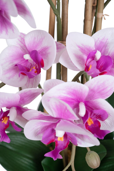 Orhidee artificiala alb cu mov cu aspect natural H71 cm cu 9 tulpini