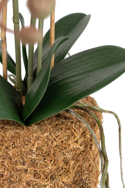 Orhidee artificiala alb cu roz cu aspect natural H49 cm cu 3 tulpini