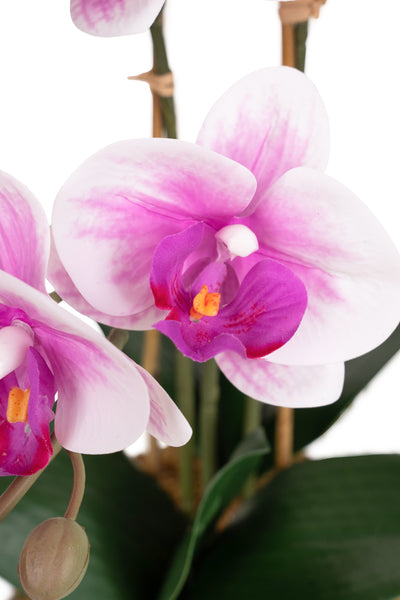 Orhidee artificiala alb cu roz cu aspect natural H49 cm cu 3 tulpini