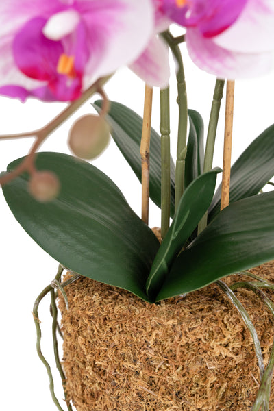 Orhidee artificiala alb cu roz cu aspect natural H49 cm cu 3 tulpini