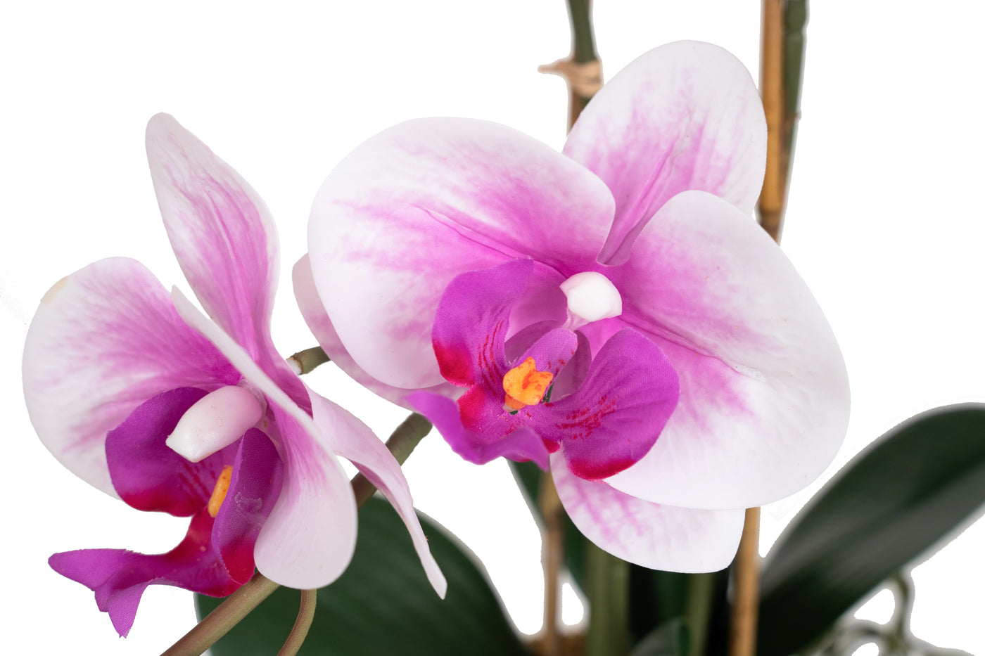 Orhidee artificiala alb cu roz cu aspect natural H49 cm cu 3 tulpini