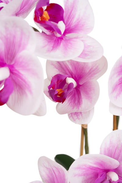 Orhidee artificiala alb cu roz cu aspect natural H49 cm cu 3 tulpini