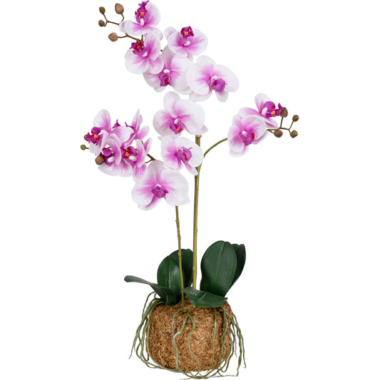 Orhidee artificiala alb cu roz cu aspect natural H60 cm cu 2 tulpini