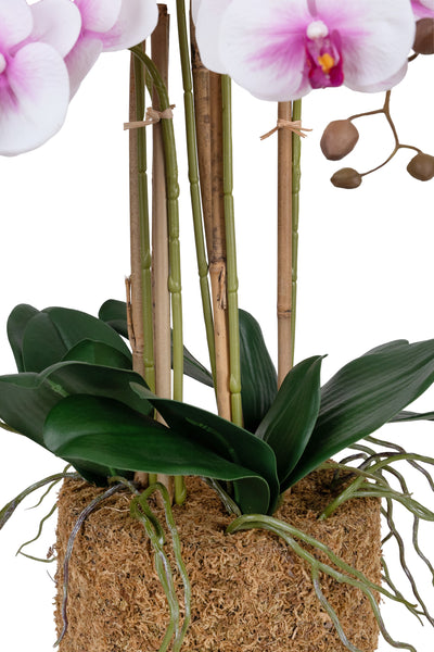 Orhidee artificiala alb cu roz cu aspect natural H66 cm cu 6 tulpini