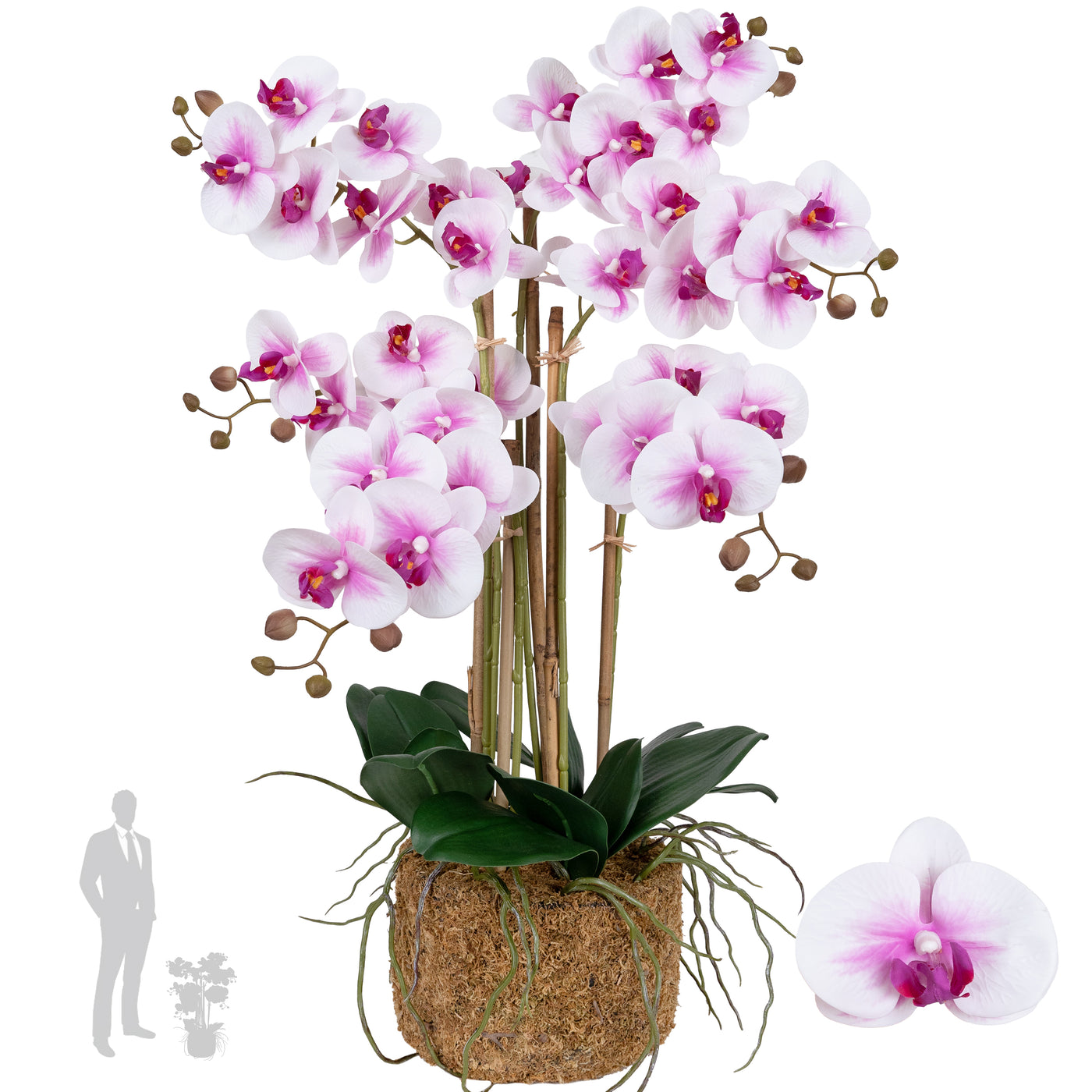 Orhidee artificiala alb cu roz cu aspect natural H66 cm cu 6 tulpini