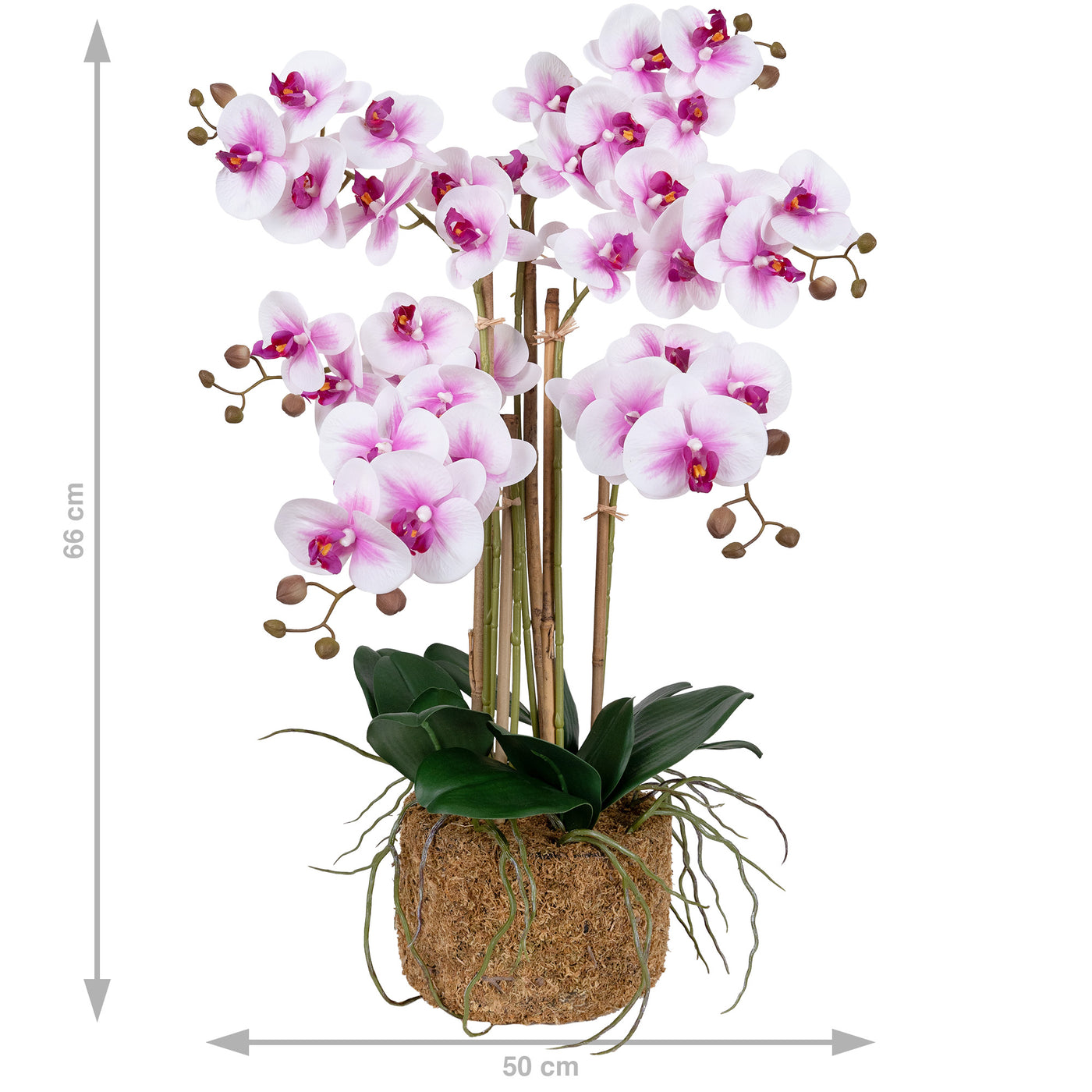 Orhidee artificiala alb cu roz cu aspect natural H66 cm cu 6 tulpini