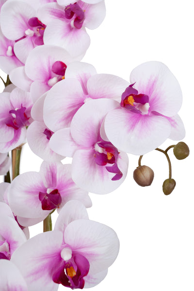 Orhidee artificiala alb cu roz cu aspect natural H66 cm cu 6 tulpini