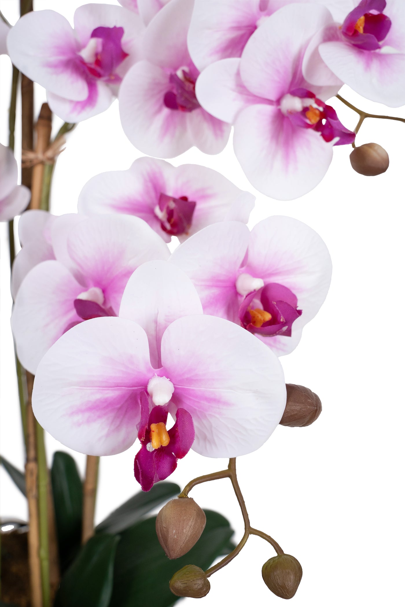 Orhidee artificiala alb cu roz cu aspect natural H66 cm cu 6 tulpini