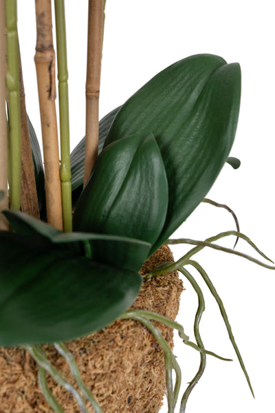 Orhidee artificiala alb cu roz cu aspect natural H66 cm cu 6 tulpini