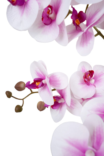 Orhidee artificiala alb cu roz cu aspect natural H66 cm cu 6 tulpini