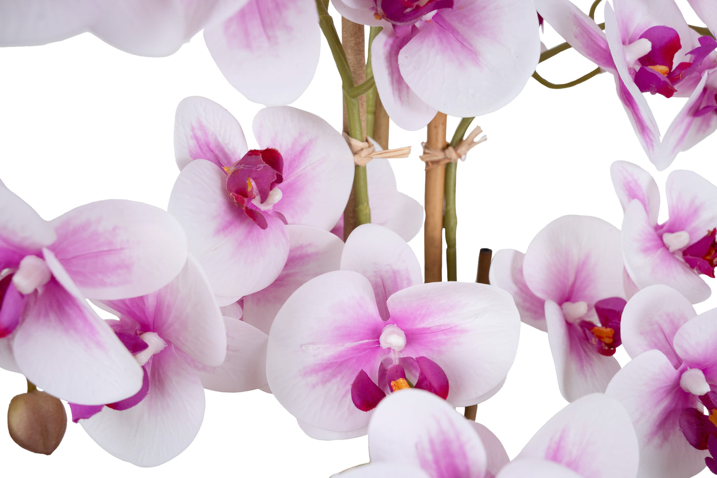 Orhidee artificiala alb cu roz cu aspect natural H66 cm cu 6 tulpini