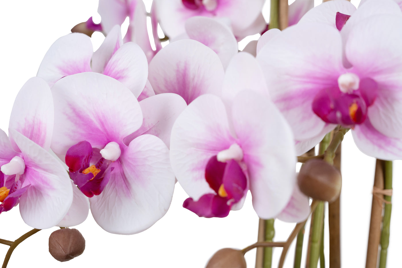 Orhidee artificiala alb cu roz cu aspect natural H66 cm cu 6 tulpini