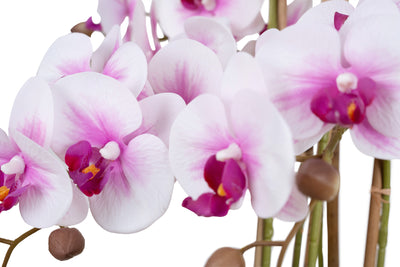 Orhidee artificiala alb cu roz cu aspect natural H66 cm cu 6 tulpini