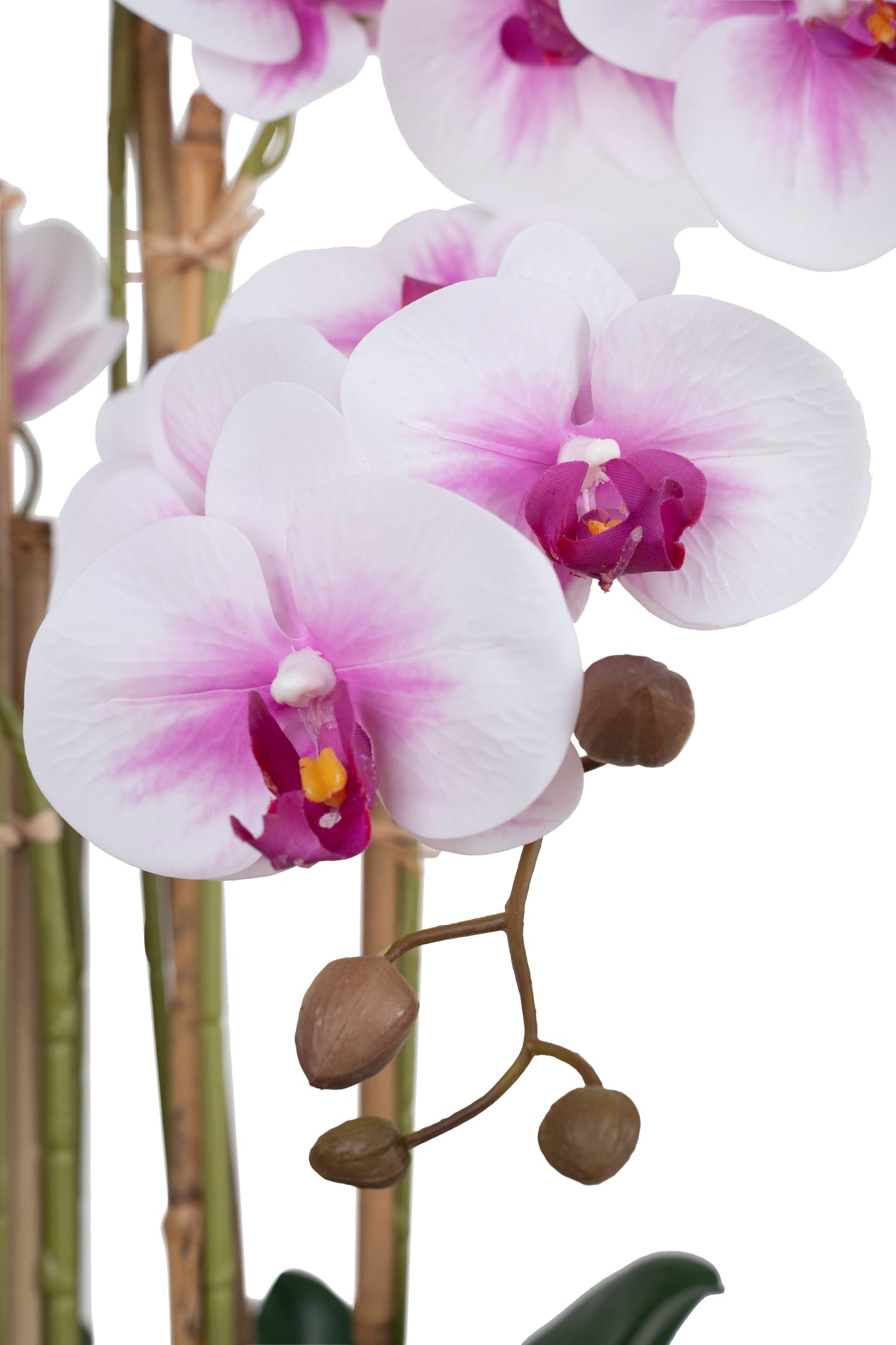 Orhidee artificiala alb cu roz cu aspect natural H66 cm cu 6 tulpini