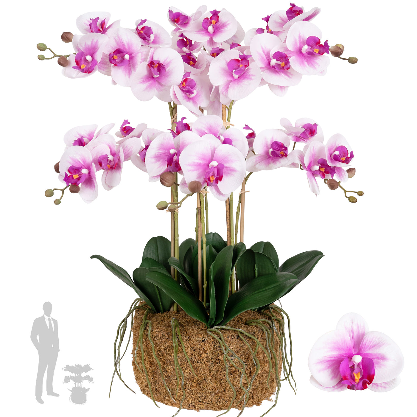 Orhidee artificiala alb cu roz cu aspect natural H66 cm cu 7 tulpini