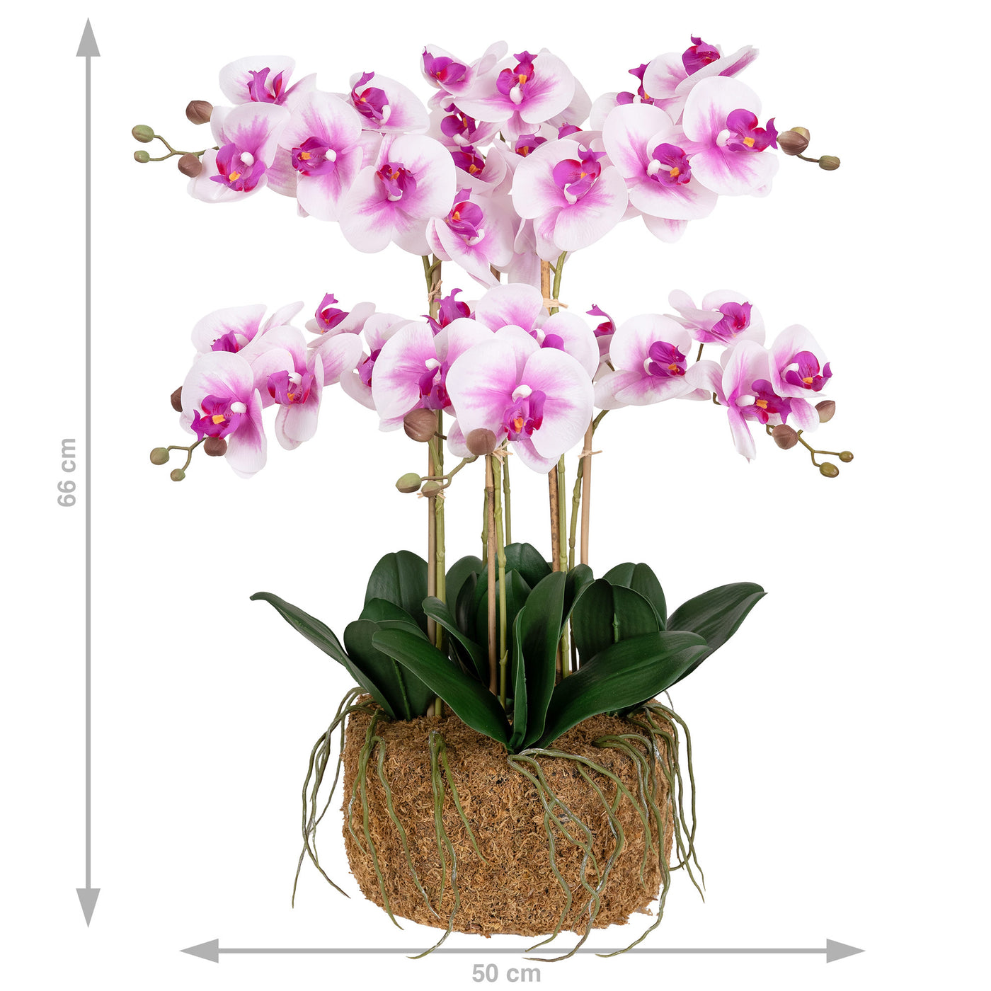 Orhidee artificiala alb cu roz cu aspect natural H66 cm cu 7 tulpini