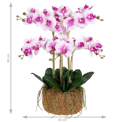 Orhidee artificiala alb cu roz cu aspect natural H66 cm cu 7 tulpini